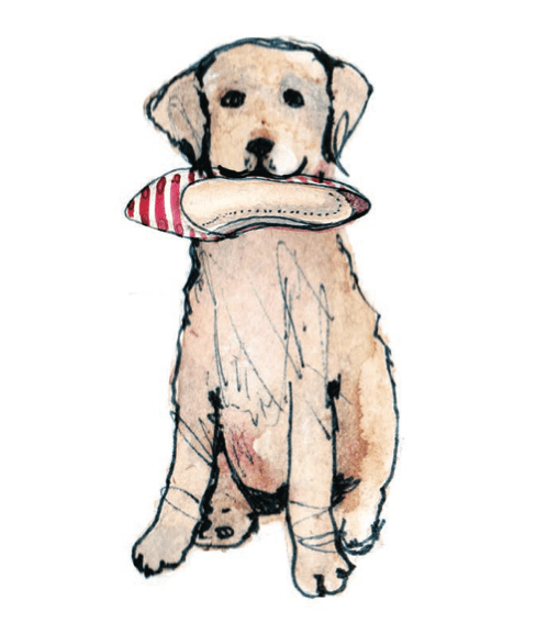 Screen Shot 2014-07-28 at 6.47.12 PM