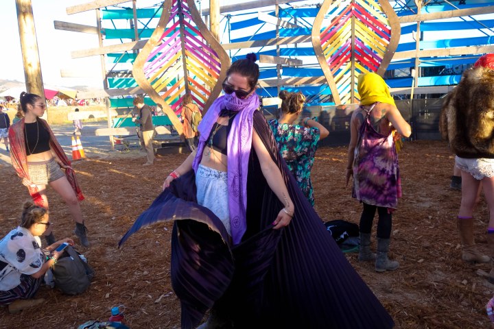 dancing wings lightning in a bottle