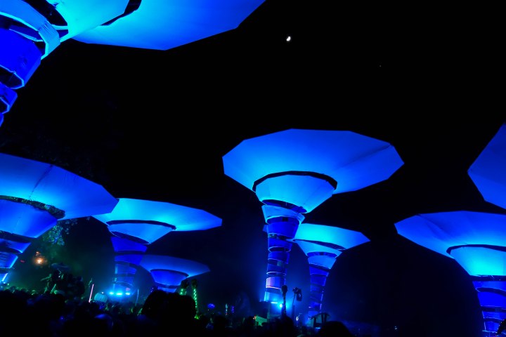 stonecoldbetch lightning in a bottle woogie dark-7