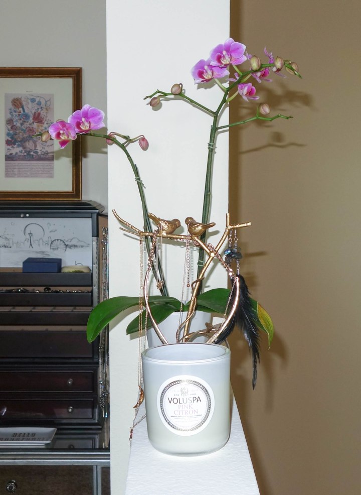 stonecoldbetch home decor preview