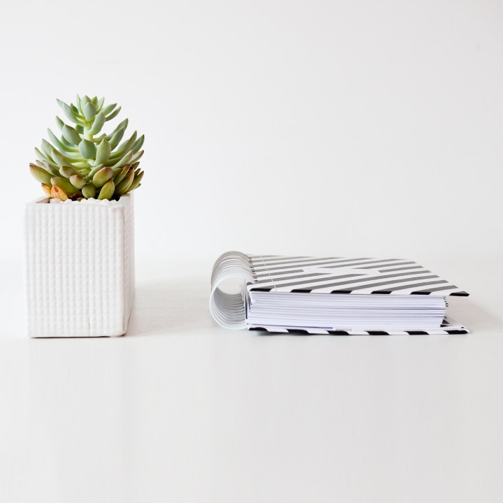 design-love-co-2016-planner-stonecoldbetch-striped