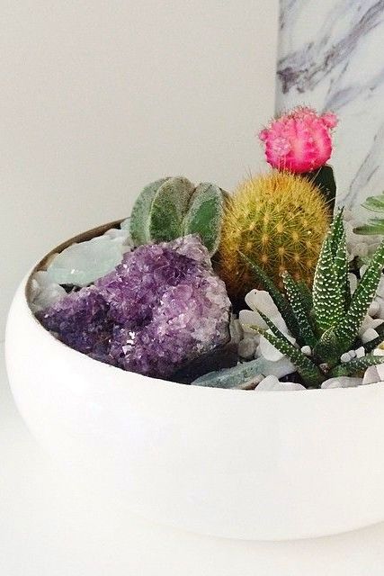 How To Use Crystals With&nbsp;Plants